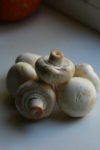 Pieczarka